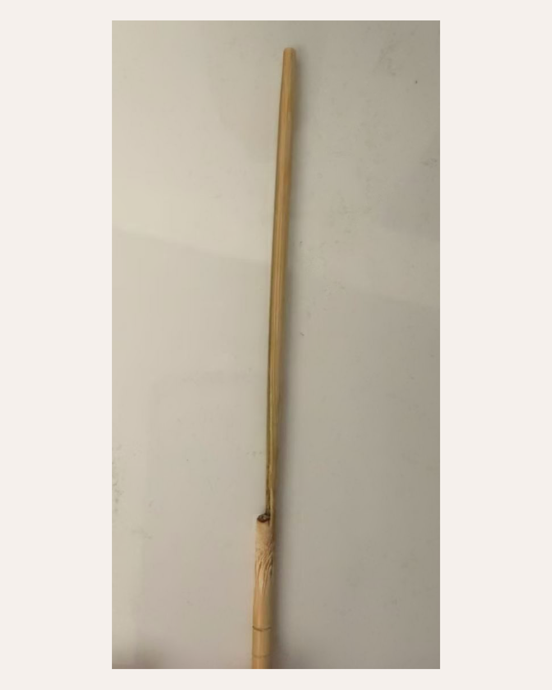 Second angle of a disposable bamboo chopstick with a dark split line and rough fiber area