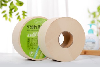 小盘纸 Jumbo Roll Toilet Paper